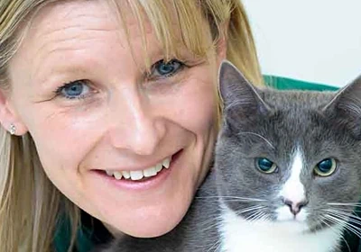 Avonvale Vets Welcomes New Microchipping Law for Cats