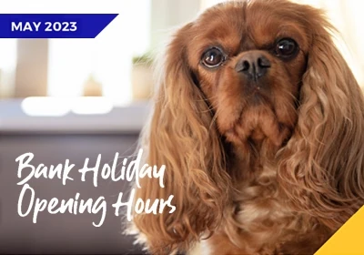 Bank holiday opening hours - May 2023
