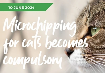 Cat microchipping legislation is now confirmed