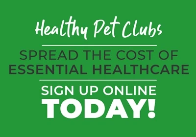 Five benefits of joining our Healthy Pet Clubs