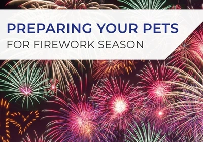 Preparing your pets for firework season