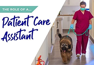 The role of a patient care assistant in Warwickshire
