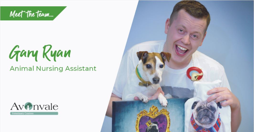 Meet the Team - Animal Nursing Assistant Gary Ryan