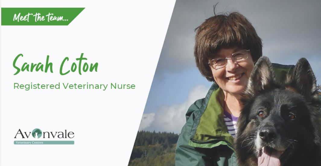Meet the Team - Registered Veterinary Nurse Sarah Coton