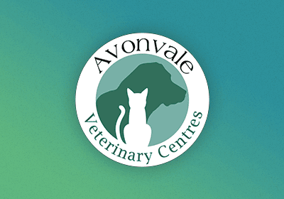 The role of a veterinary nurse in Warwickshire