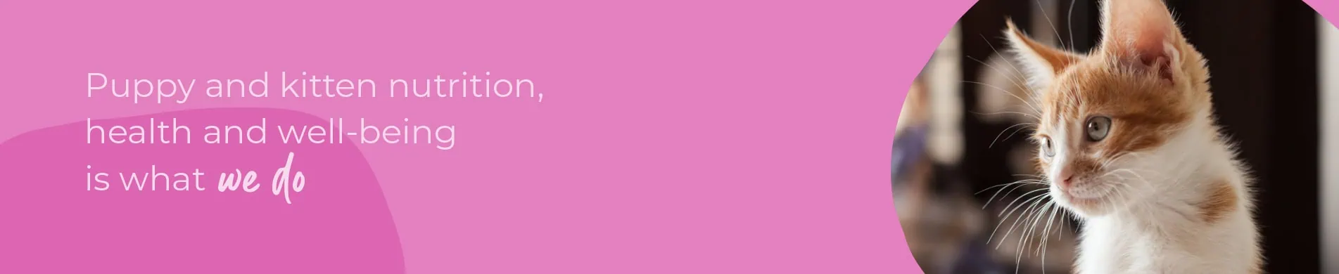 Start of Life for Your Puppy or Kitten