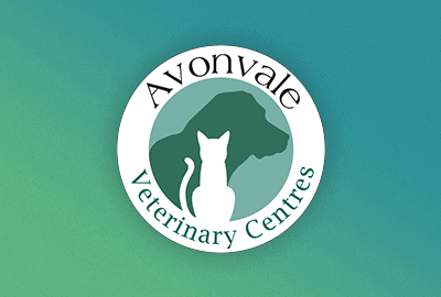 Common Breed Health Overviews