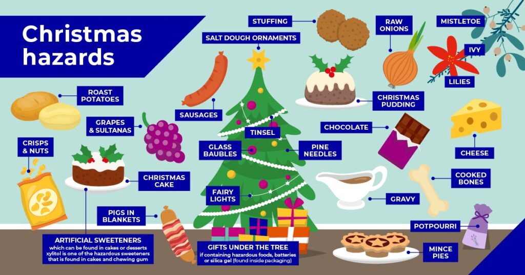 Christmas hazards pets