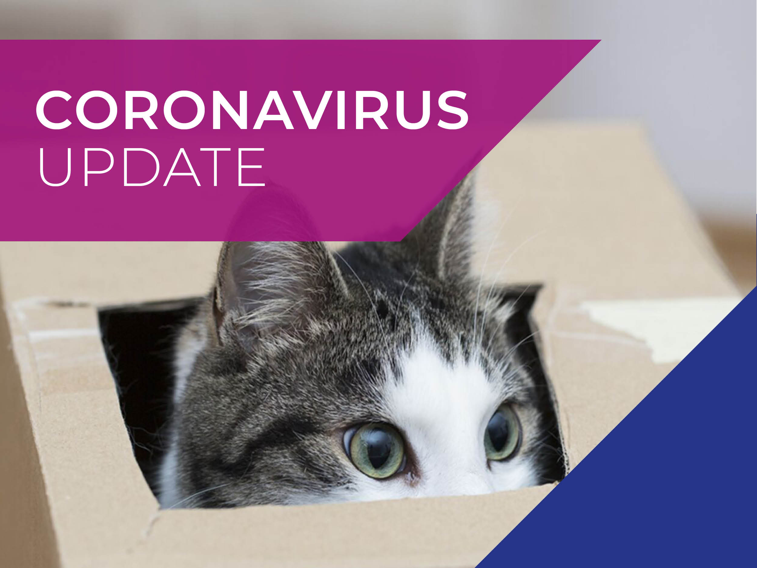 Avonvale Vets COVID-19 (Coronavirus) 31 March Update