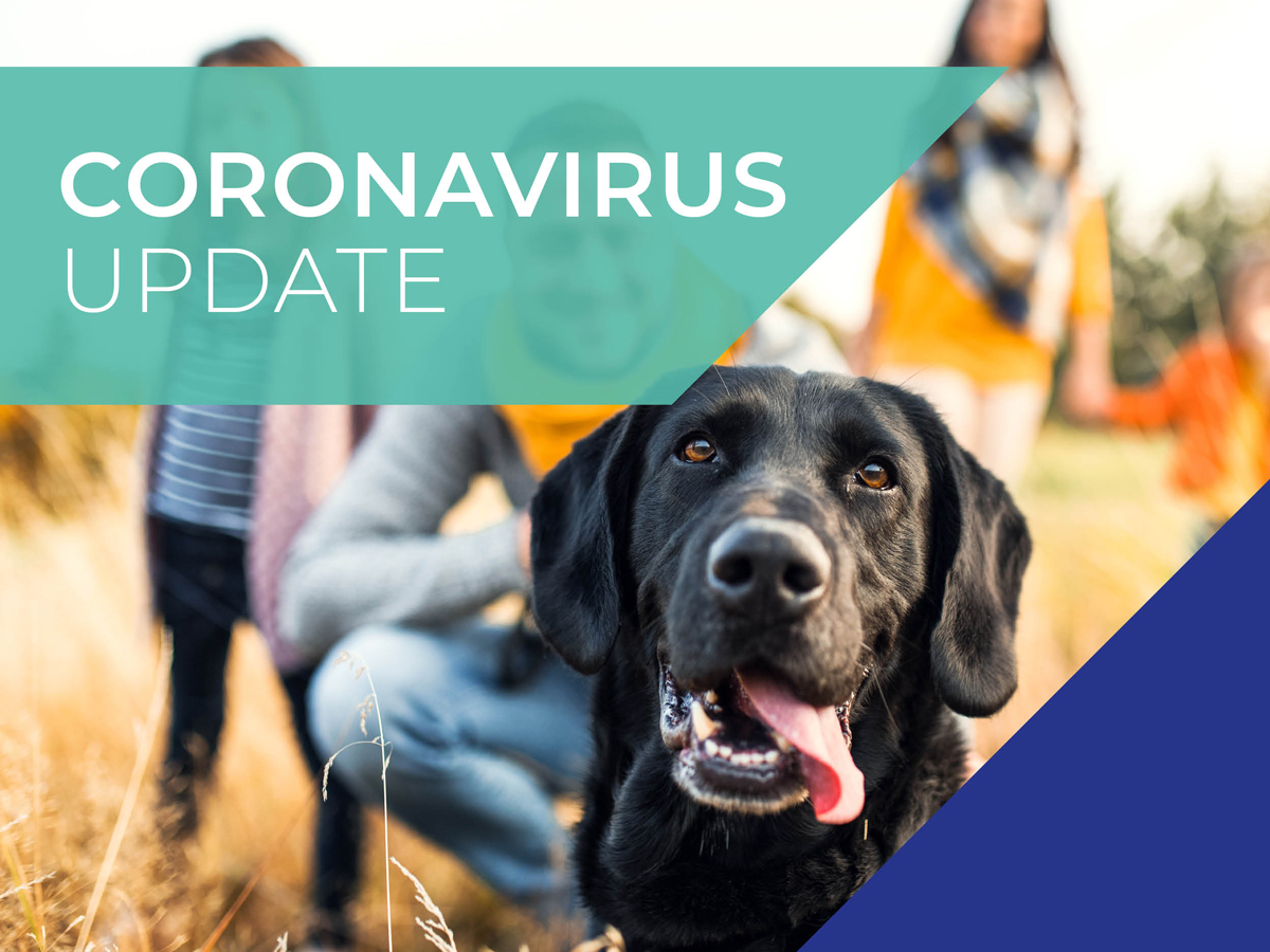 Avonvale Vets COVID-19 (coronavirus) 01 April update