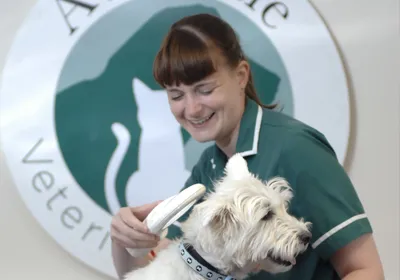 Compulsory microchipping- what does this mean for you?