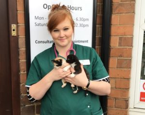 steph from avonvale vets with her adopted kittens