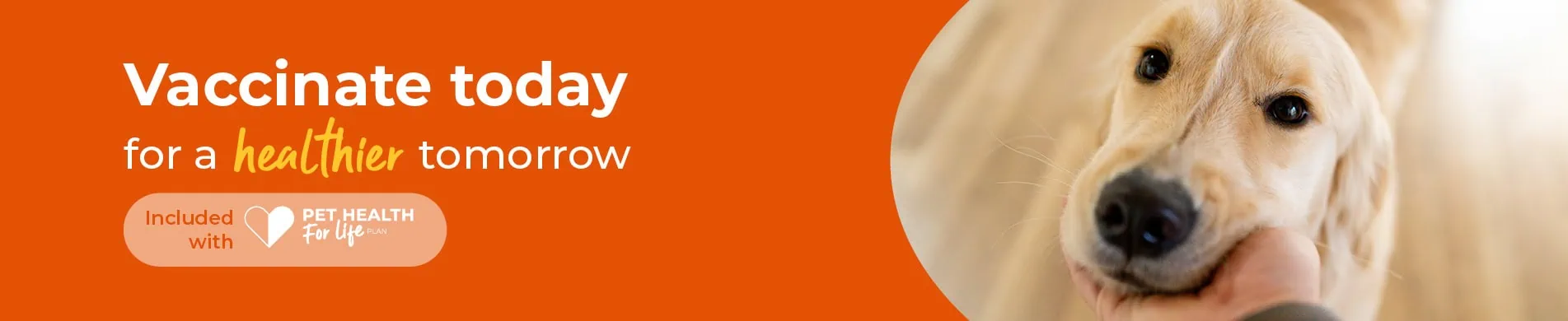 Vaccinating your rabbit in Warwickshire
